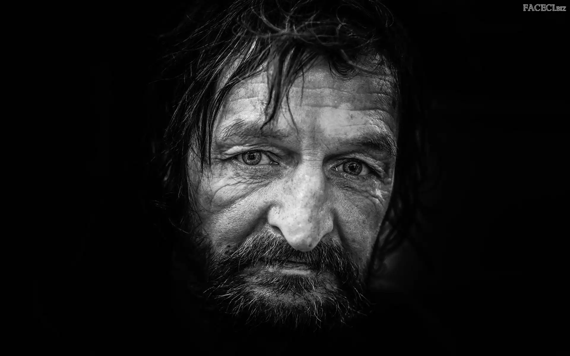 Broda, Twarz, Mężczyzna